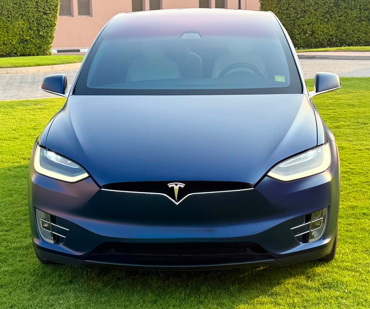 Blue Tesla Model X P100D 2017